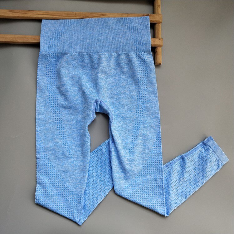 Seamless Leggings