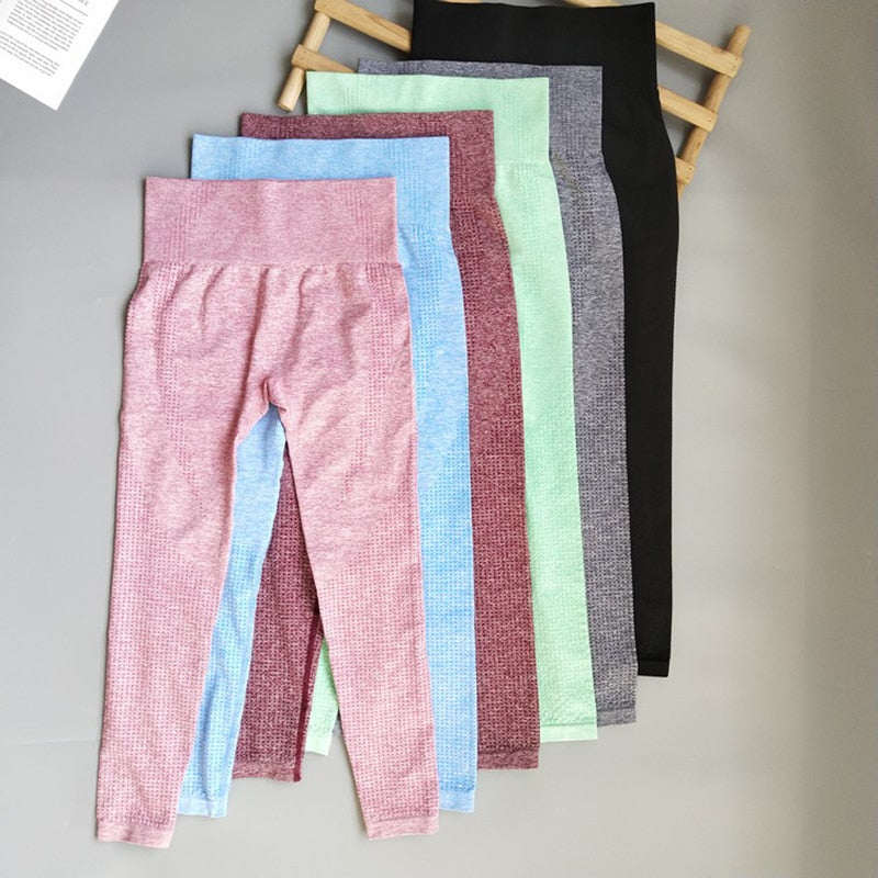 Seamless Leggings