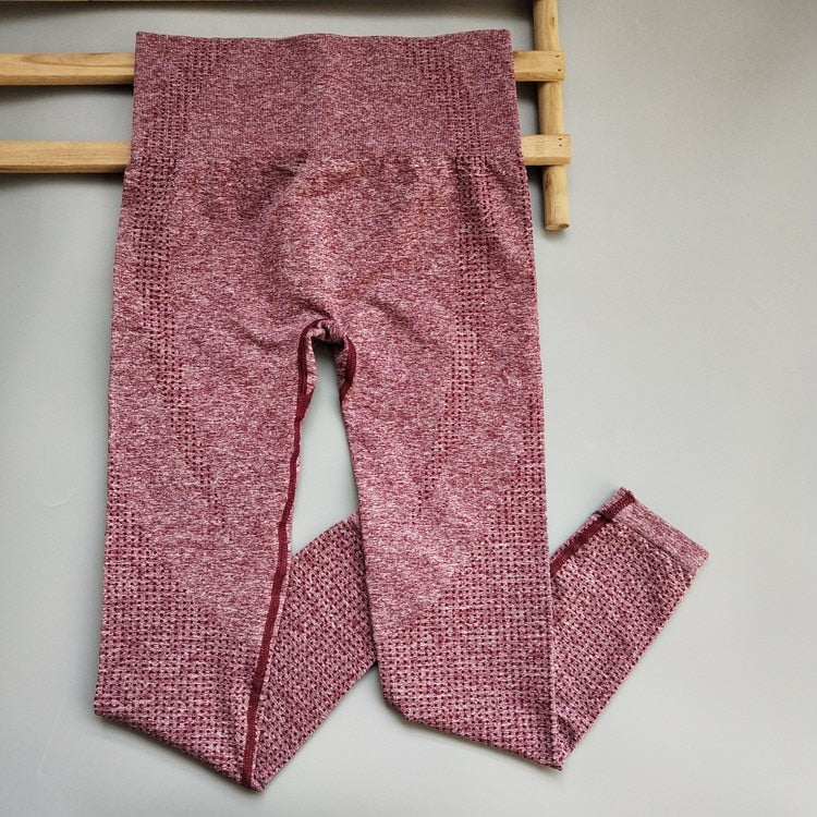 Seamless Leggings