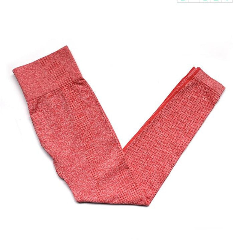 Women's Seamless Fitness Leggings