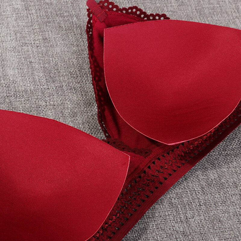 Women French Style Lace Bra